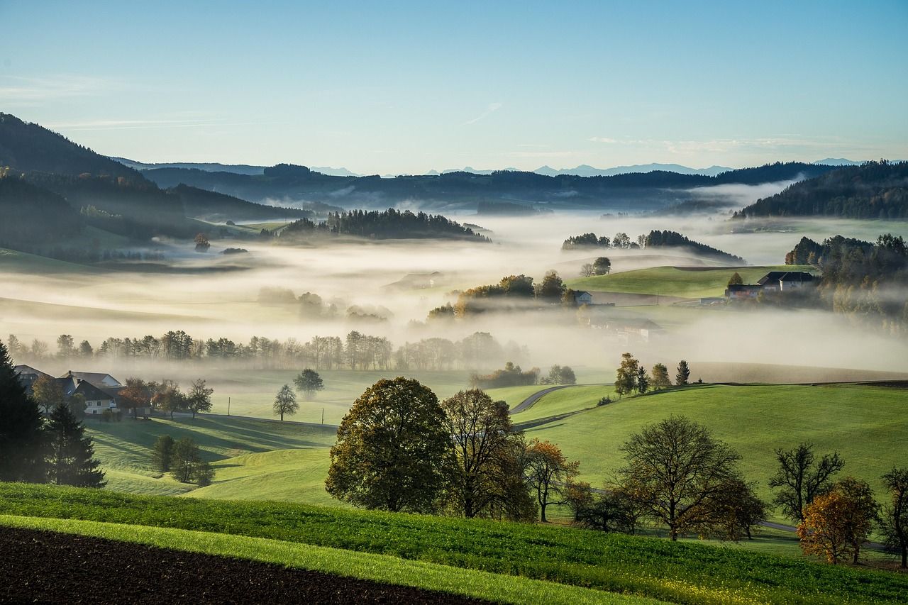 découvrez comment la revitalisation culturelle préserve et valorise les traditions, langues et patrimoines des communautés, favorisant l'identité et la diversité culturelle à travers le monde.