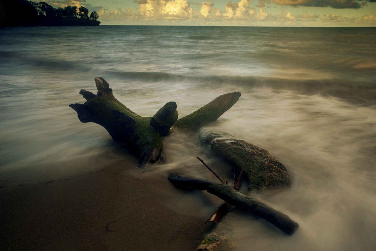 découvrez la beauté enchanteresse de la guadeloupe, une destination paradisiaque aux plages de sable blanc, aux eaux turquoise et à la riche culture créole. explorez ses paysages époustouflants, ses plantations de café et sa biodiversité unique, tout en profitant d'une gastronomie savoureuse et d'activités variées.