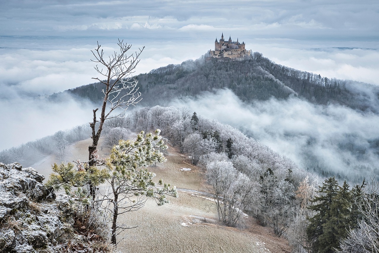 découvrez nos châteaux à la revente, propriétés d'exception alliant charme historique et opportunités uniques.