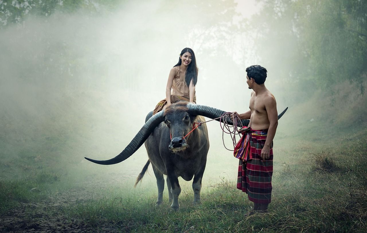 découvrez la thaïlande, un pays riche en culture, plages paradisiaques, temples magnifiques et une cuisine délicieuse. partez à l'aventure au cœur de l'asie du sud-est.