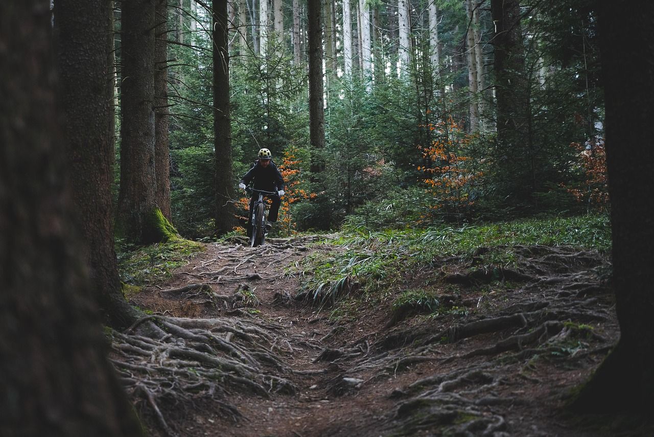 découvrez des aventures en plein air palpitantes qui vous rapprochent de la nature. que vous soyez amateur de randonnée, de camping ou d'activités aquatiques, vivez des expériences inoubliables et explorez des paysages à couper le souffle.