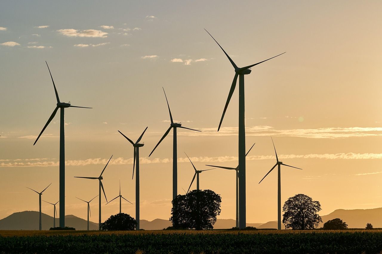 découvrez comment voyager de manière responsable et respectueuse de l'environnement grâce à nos conseils et astuces pour un voyage durable. adoptez des pratiques écologiques tout en explorant le monde.