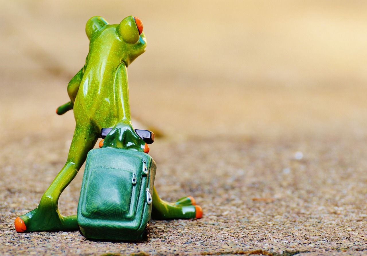 découvrez des conseils, destinations et astuces pour voyager partout dans le monde et vivre des expériences inoubliables.