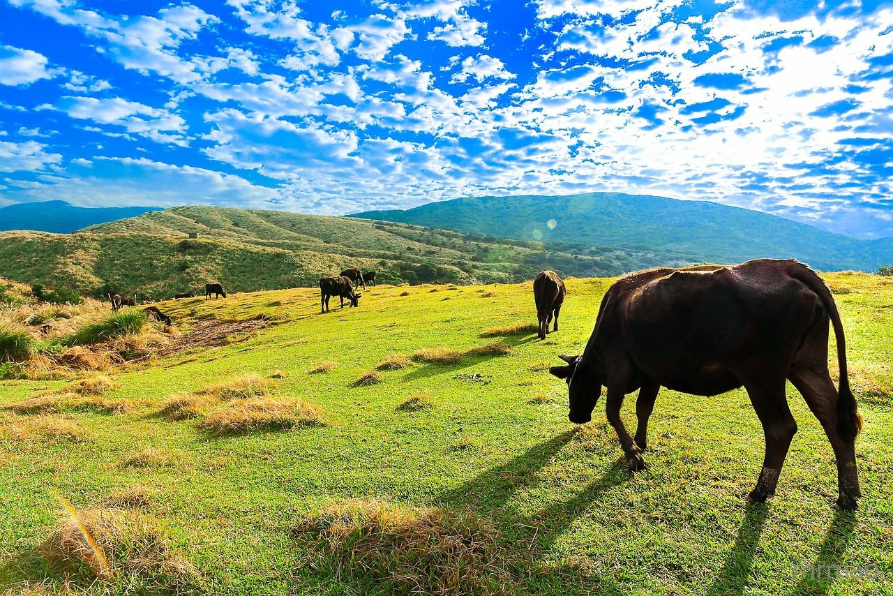 découvrez taiwan, une île fascinante mêlant culture traditionnelle, paysages naturels époustouflants et villes modernes dynamiques.