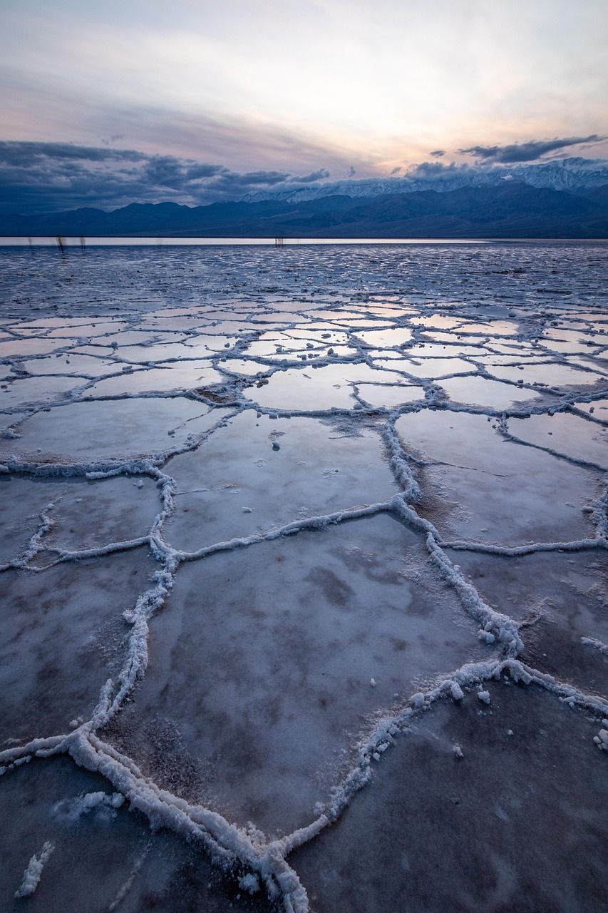 découvrez les parcs nationaux des états-unis, des paysages spectaculaires et une biodiversité exceptionnelle pour des aventures inoubliables en pleine nature.