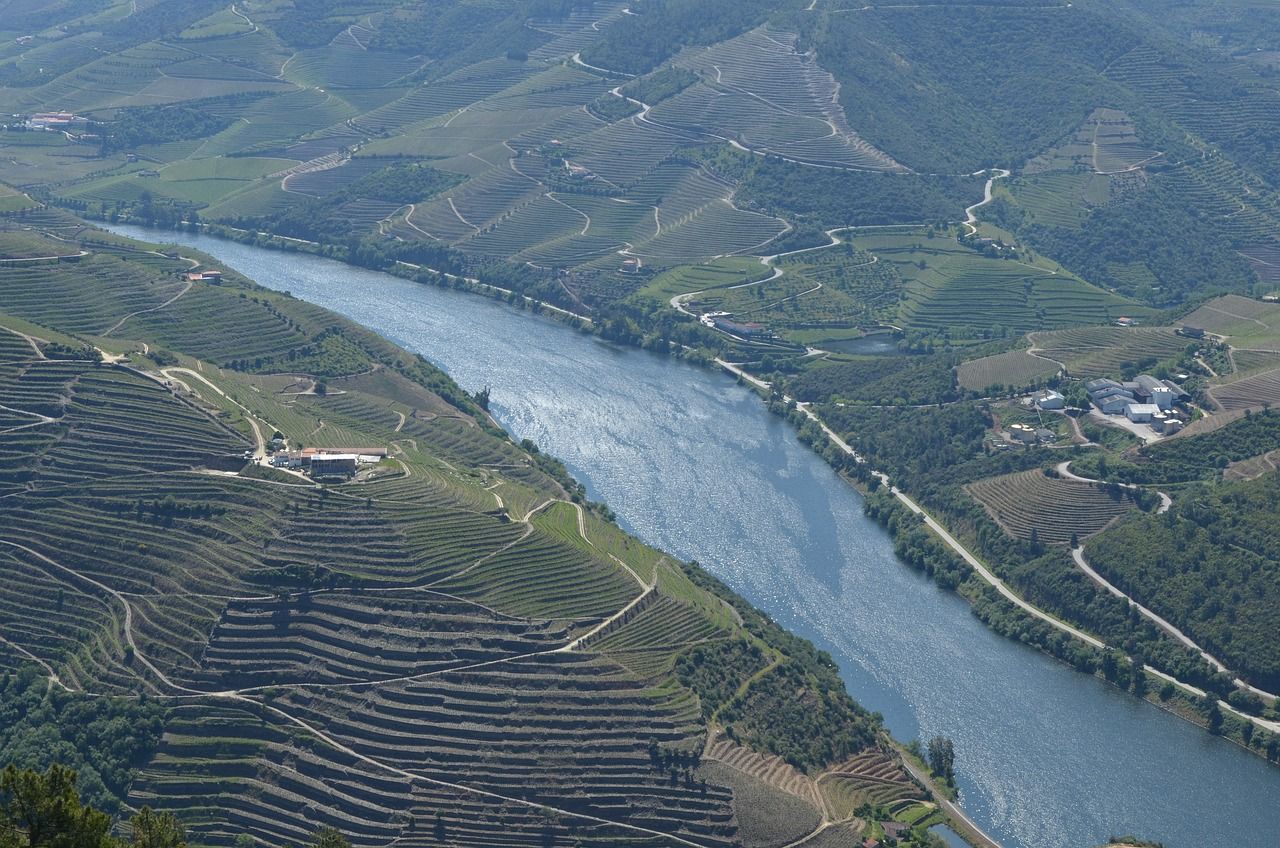 découvrez le tourisme viticole : explorez des vignobles pittoresques, dégustez des vins d'exception et vivez une expérience authentique au cœur des régions viticoles.