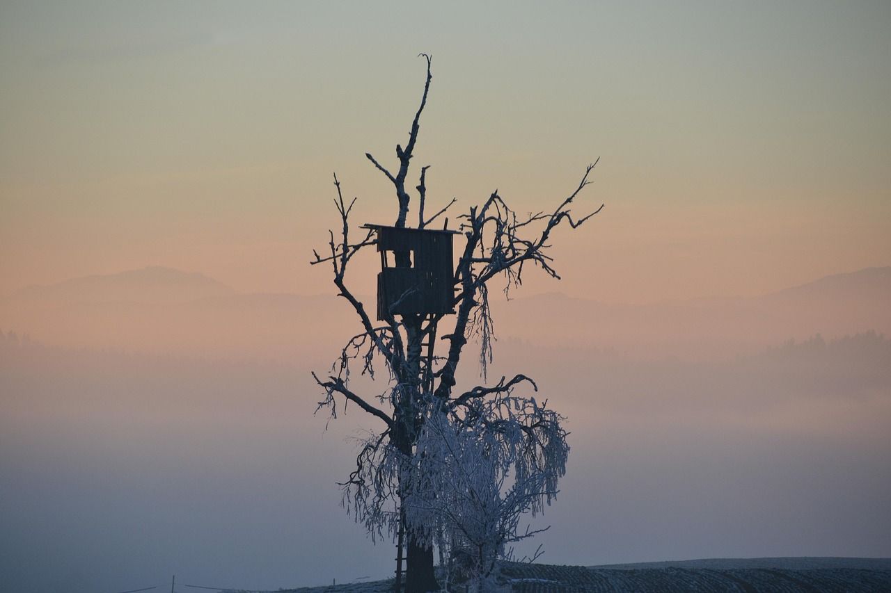 découvrez notre retraite hivernale, un refuge paisible pour profiter de la neige et de moments de détente au cœur d'un paysage féerique.