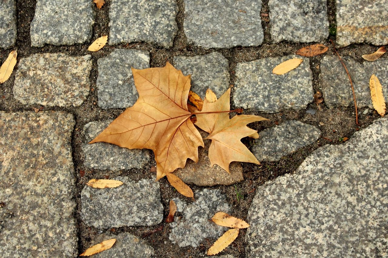 découvrez un long week-end en novembre en normandie : paysages pittoresques, patrimoine historique et saveurs locales pour une escapade automnale inoubliable.