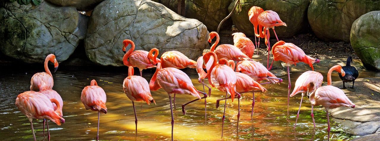 découvrez la colombie, un pays riche en culture, paysages diversifiés et aventures inoubliables, de ses plages paradisiaques à ses villes vibrantes.