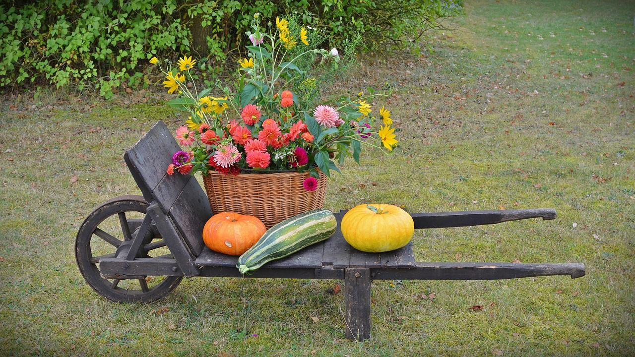 découvrez le food and nature festival, une célébration unique alliant saveurs délicieuses et beauté de la nature. profitez d'expériences culinaires authentiques au cœur d'un cadre naturel exceptionnel.