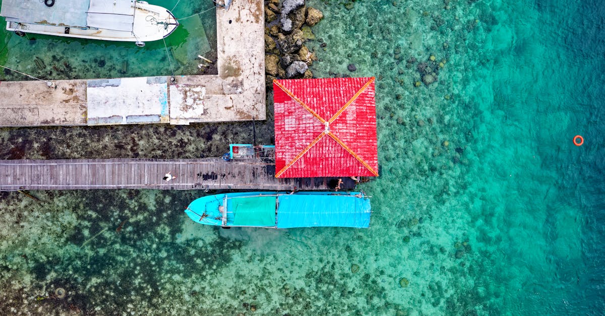 découvrez le tourisme durable : une approche écoresponsable qui valorise la préservation de l'environnement, le soutien aux communautés locales et la promotion des pratiques respectueuses des ressources naturelles. explorez des destinations qui allient aventures authentiques et protection de la planète.