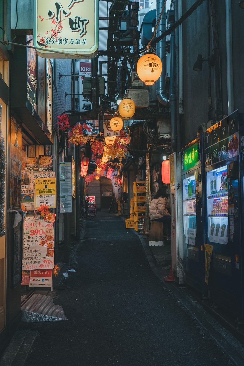 découvrez notre guide de voyage complet au japon pour explorer les incontournables, la culture, les traditions et les conseils pratiques afin de préparer votre séjour parfait.