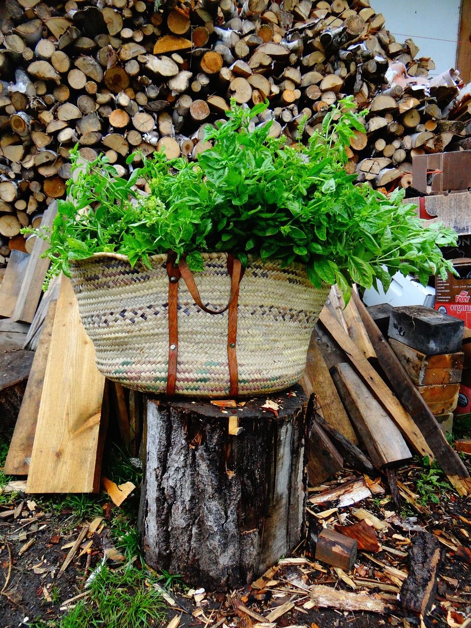 découvrez eco farm, votre partenaire durable pour une agriculture respectueuse de l'environnement et des pratiques écoresponsables.