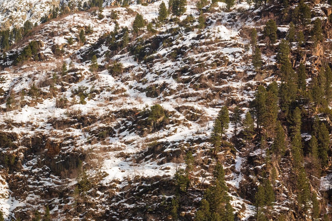 découvrez l'hiver sous toutes ses facettes : paysages enneigés, activités hivernales, conseils pour se réchauffer et vivre pleinement cette saison magique.