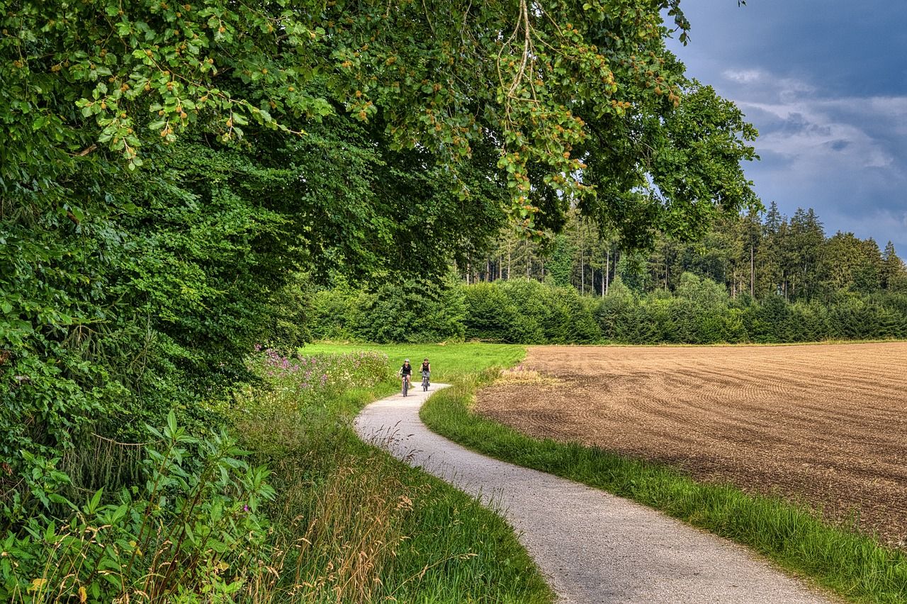 découvrez notre piste cyclable sécurisée et pittoresque, idéale pour les balades à vélo en famille ou entre amis, à travers des paysages naturels et agréables.