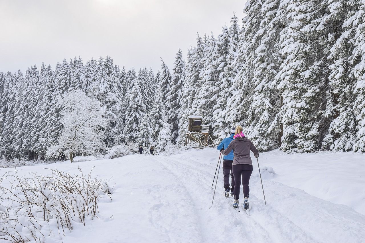 découvrez les meilleures destinations de ski pour des vacances inoubliables. que vous soyez débutant ou skieur expérimenté, explorez des stations prisées en france et à l'étranger, offrant des pistes variées, des paysages à couper le souffle et des activités après-ski passionnantes.