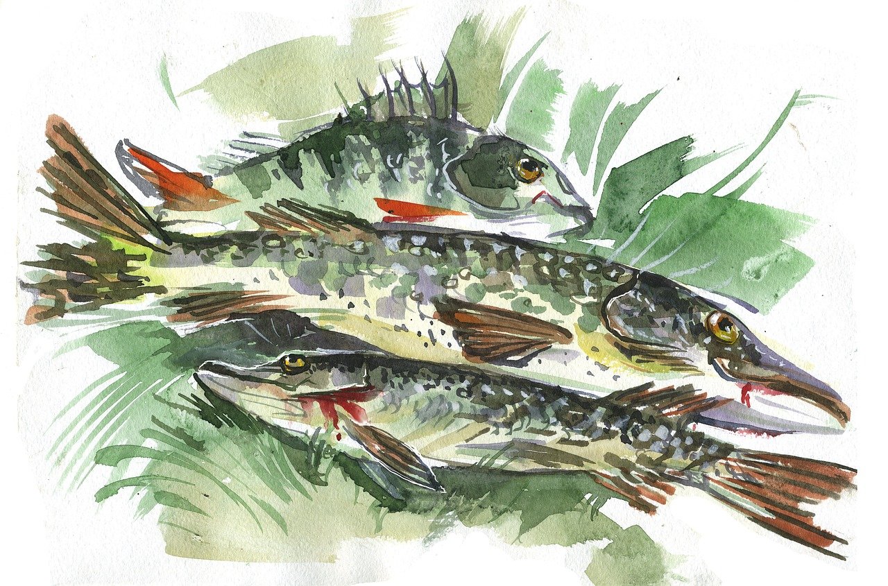 découvrez nos poissons fraîchement pêchés, gages de fraîcheur et de qualité pour des plats savoureux et sains.