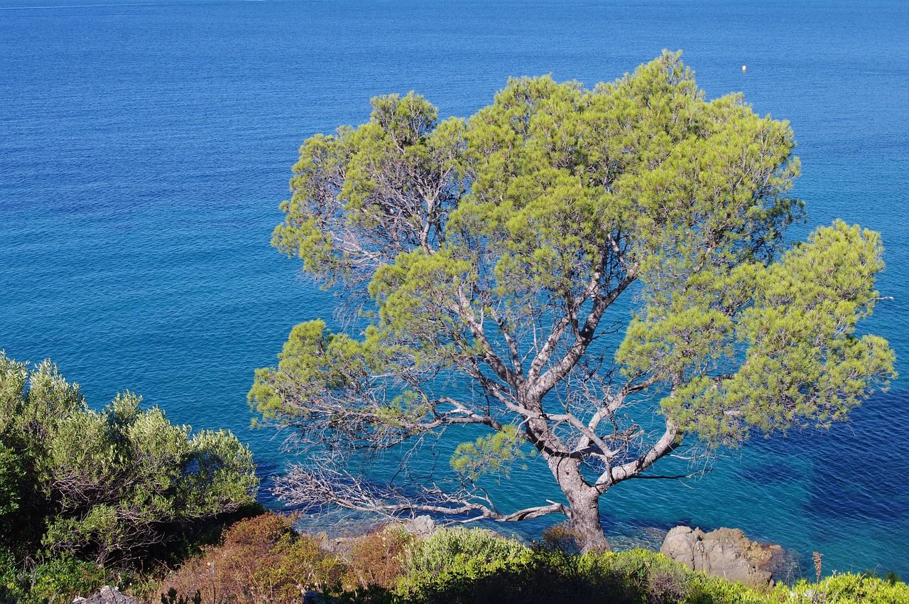 découvrez la côte d'azur, un véritable joyau de la méditerranée, célèbre pour ses plages ensoleillées, ses paysages à couper le souffle et ses villes glamour comme nice, cannes et saint-tropez. plongez dans un univers de luxe, de culture et d'aventures inoubliables.