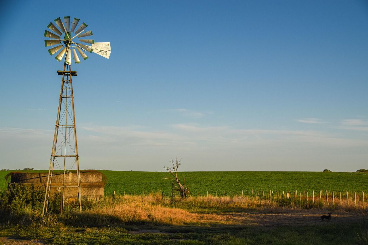 découvrez l'uruguay, une destination unique alliant plages idylliques, villes charmantes et richesses culturelles. planifiez votre voyage en uruguay pour une expérience inoubliable.