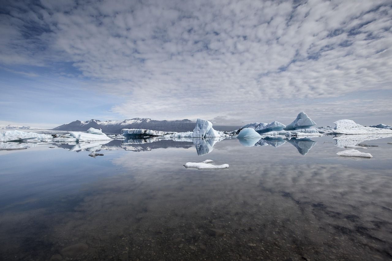 découvrez les lagunes : des milieux naturels fascinants, situés entre terre et mer, riches en biodiversité et parfaits pour l’observation de la faune et la détente en pleine nature.