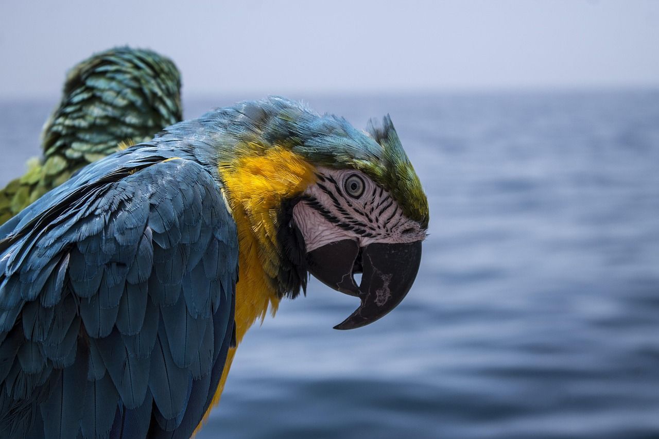 découvrez le trésor naturel : un guide fascinant pour explorer la beauté authentique de la nature et ses merveilles préservées.