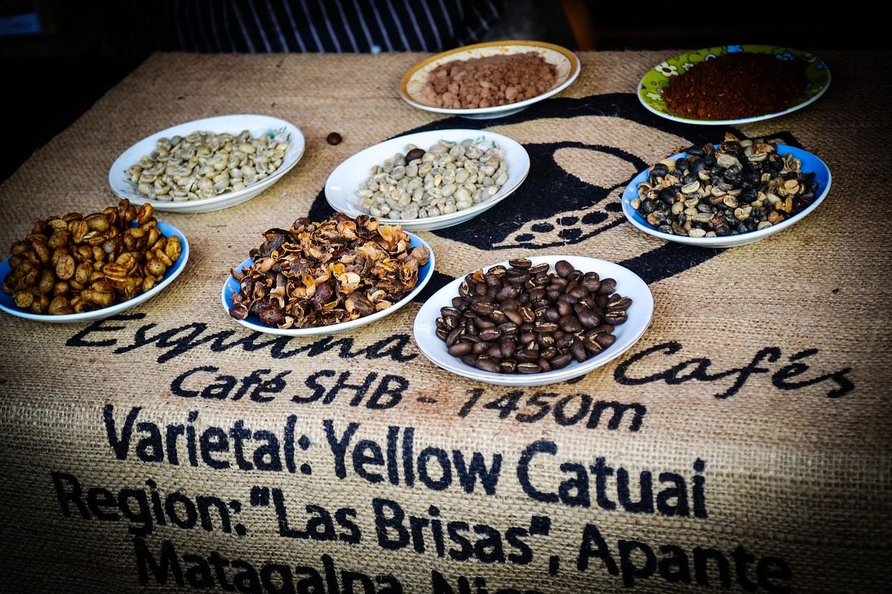 découvrez nos conseils de voyage essentiels pour explorer le nicaragua en toute sérénité : astuces pratiques, lieux incontournables et recommandations culturelles.