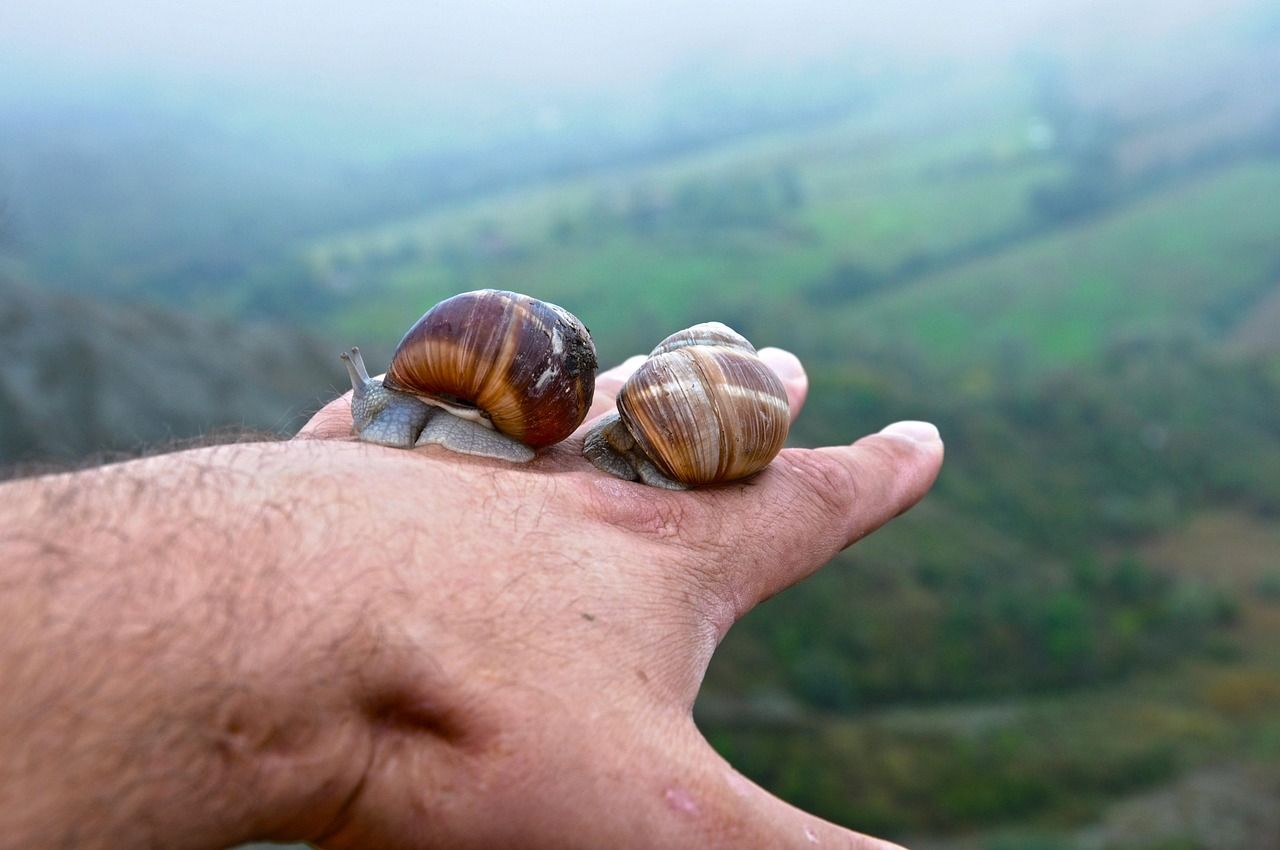 découvrez le slow travel, une approche de voyage qui privilégie la lenteur, l'immersion culturelle et la découverte authentique pour profiter pleinement de chaque destination.