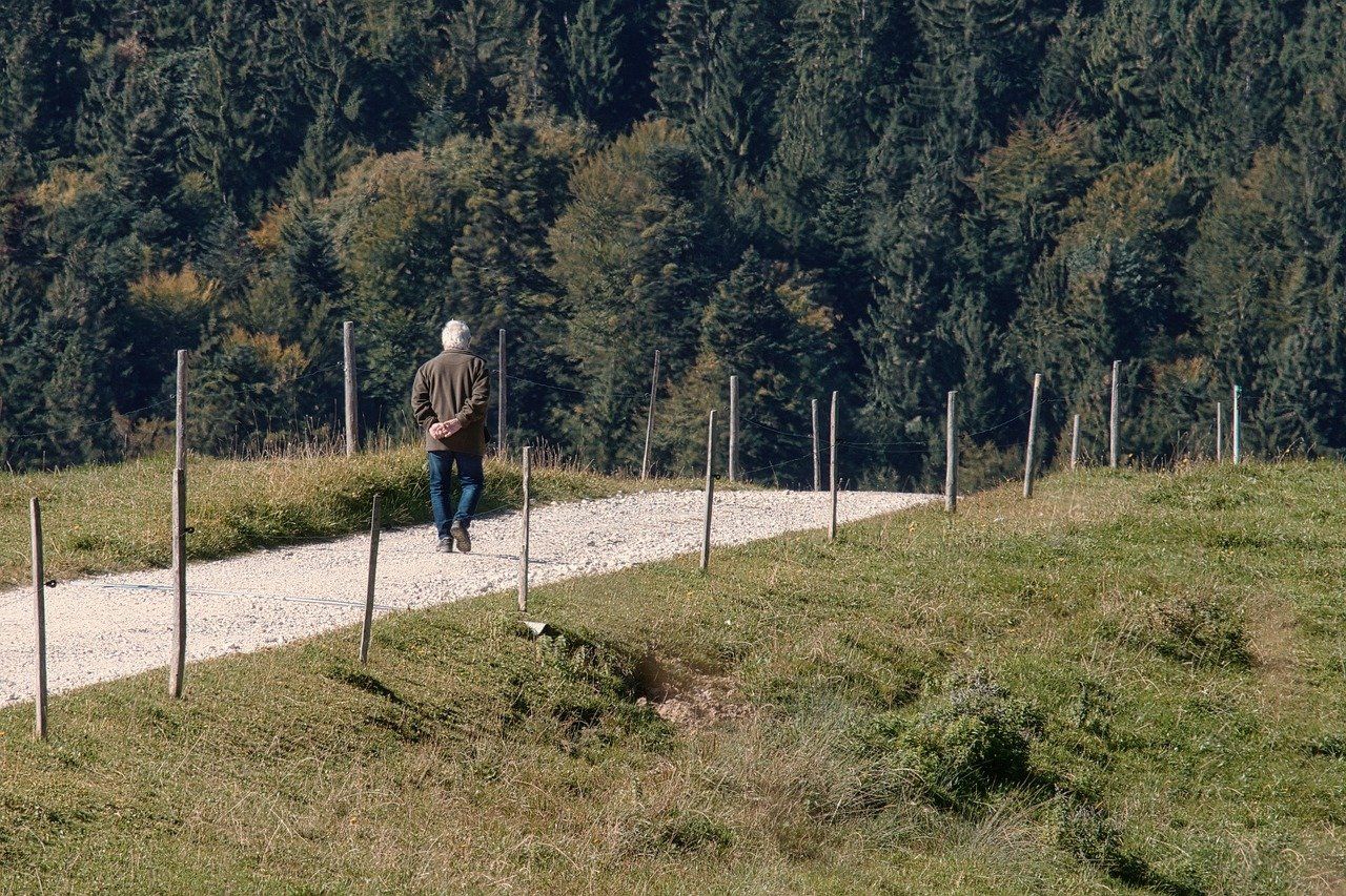 découvrez la beauté des paysages naturels lors de nos promenades en pleine nature. évadez-vous du quotidien, respirez l'air frais, et reconnectez-vous avec l'environnement grâce à nos randonnées guidées. parfait pour les amateurs de plein air et les curieux de la faune et de la flore.