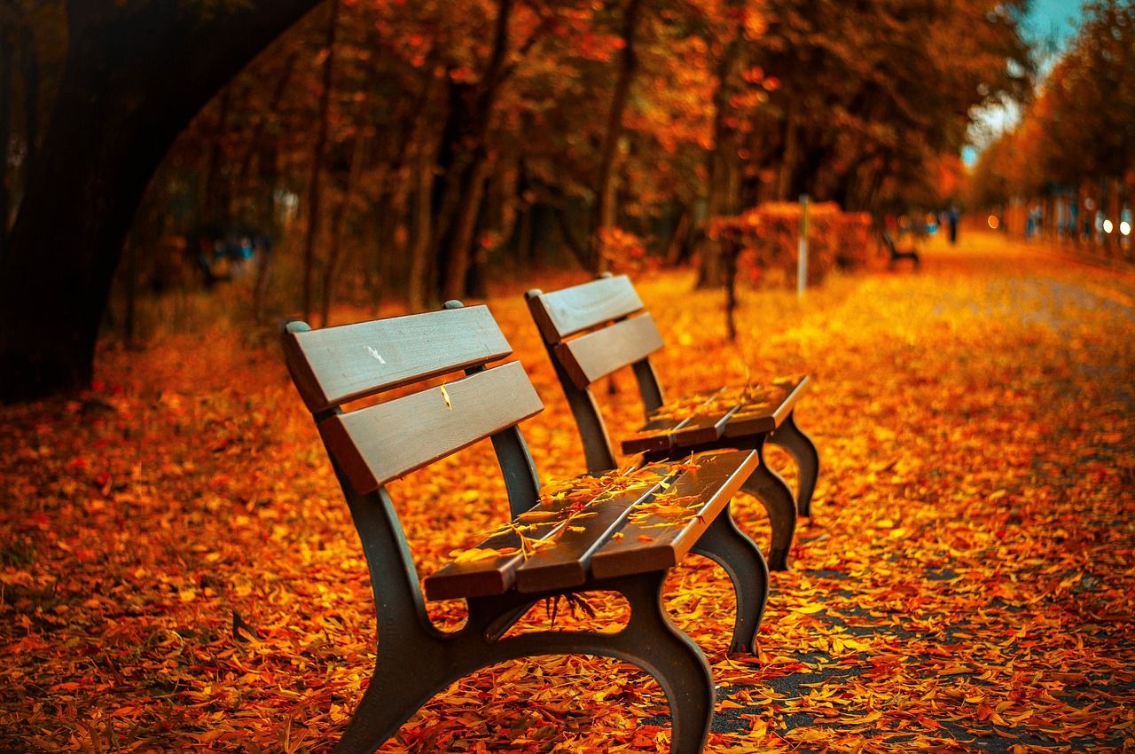 découvrez la beauté des couleurs d'automne : feuillages flamboyants, paysages chaleureux et atmosphère apaisante pour profiter pleinement de cette saison magique.