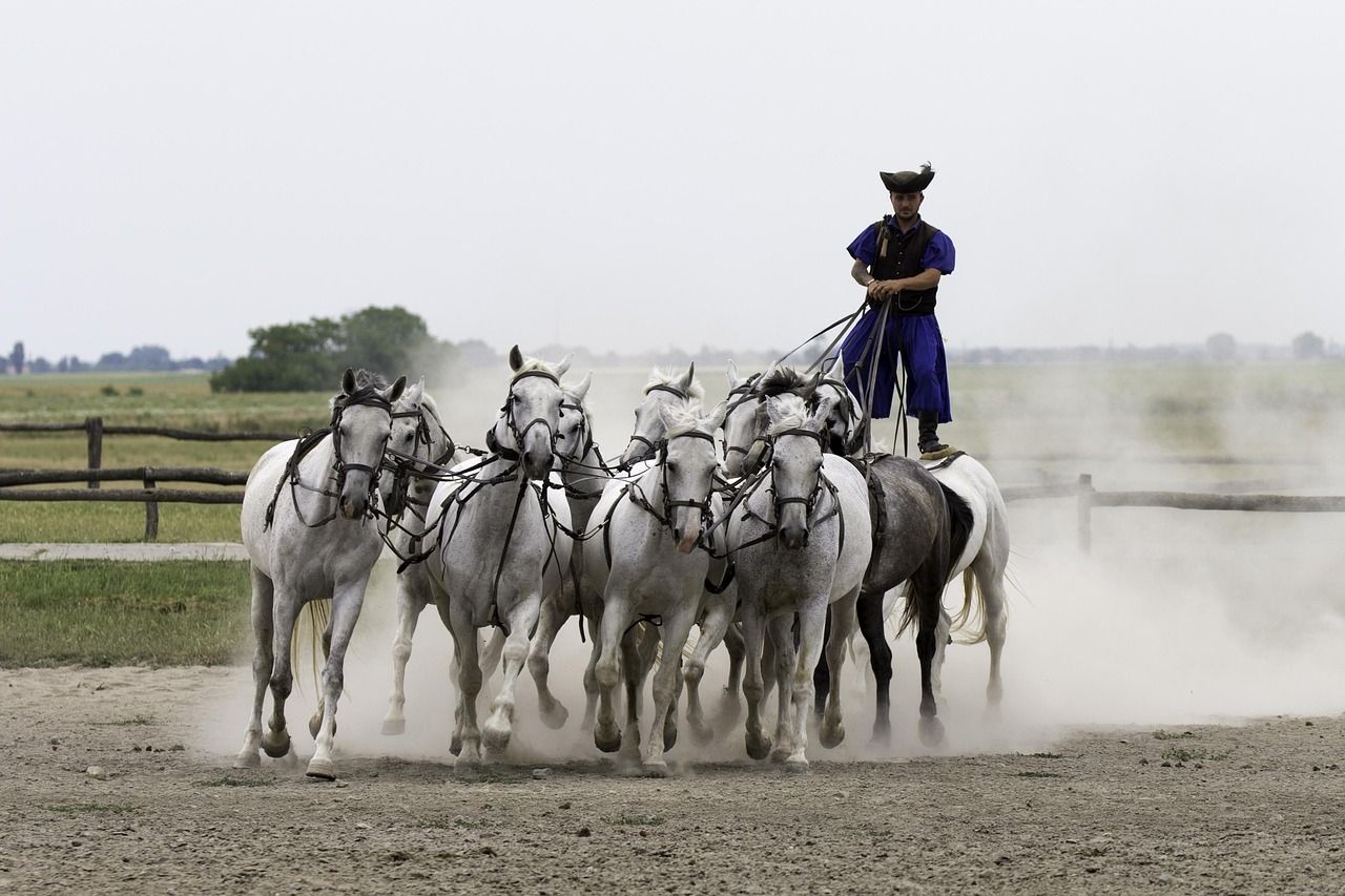 découvrez notre événement culturel incontournable, riche en traditions, arts et spectacles pour tous les passionnés de culture.