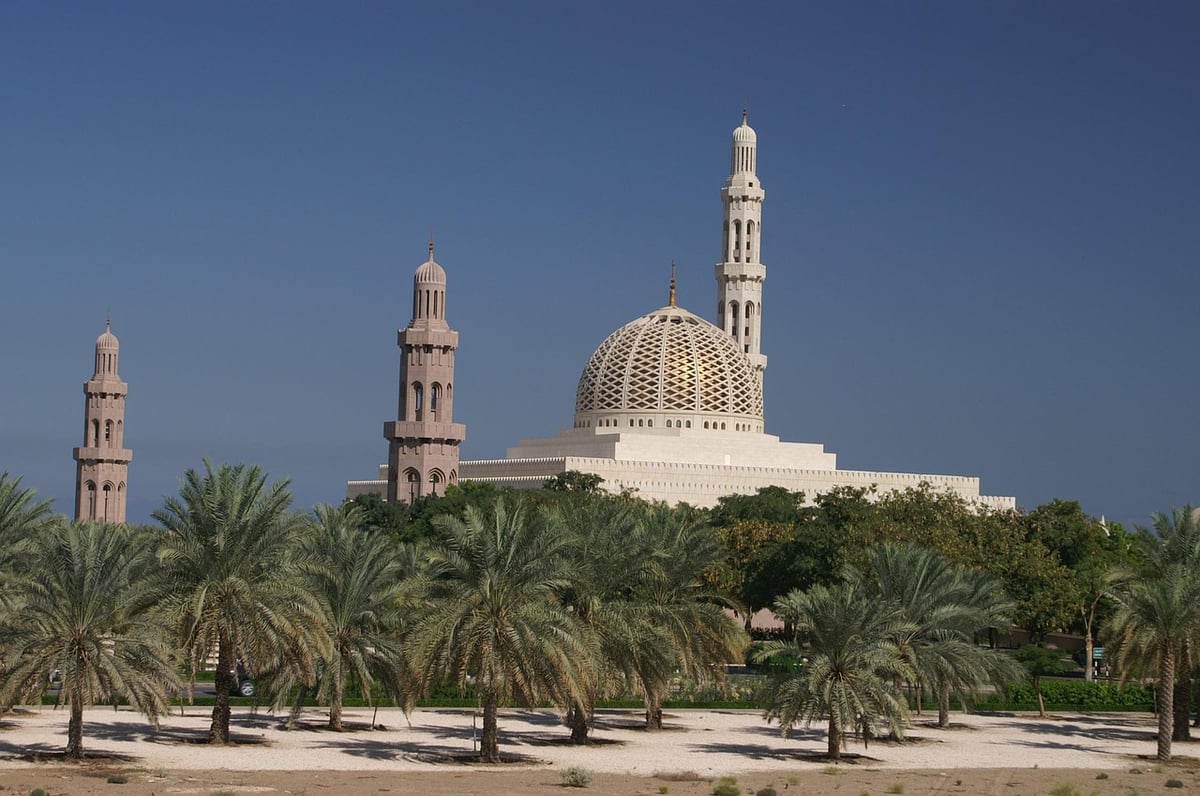 De la baie dorée au nectar sacré : 90 ans d’excellence de l’AOP Muscat