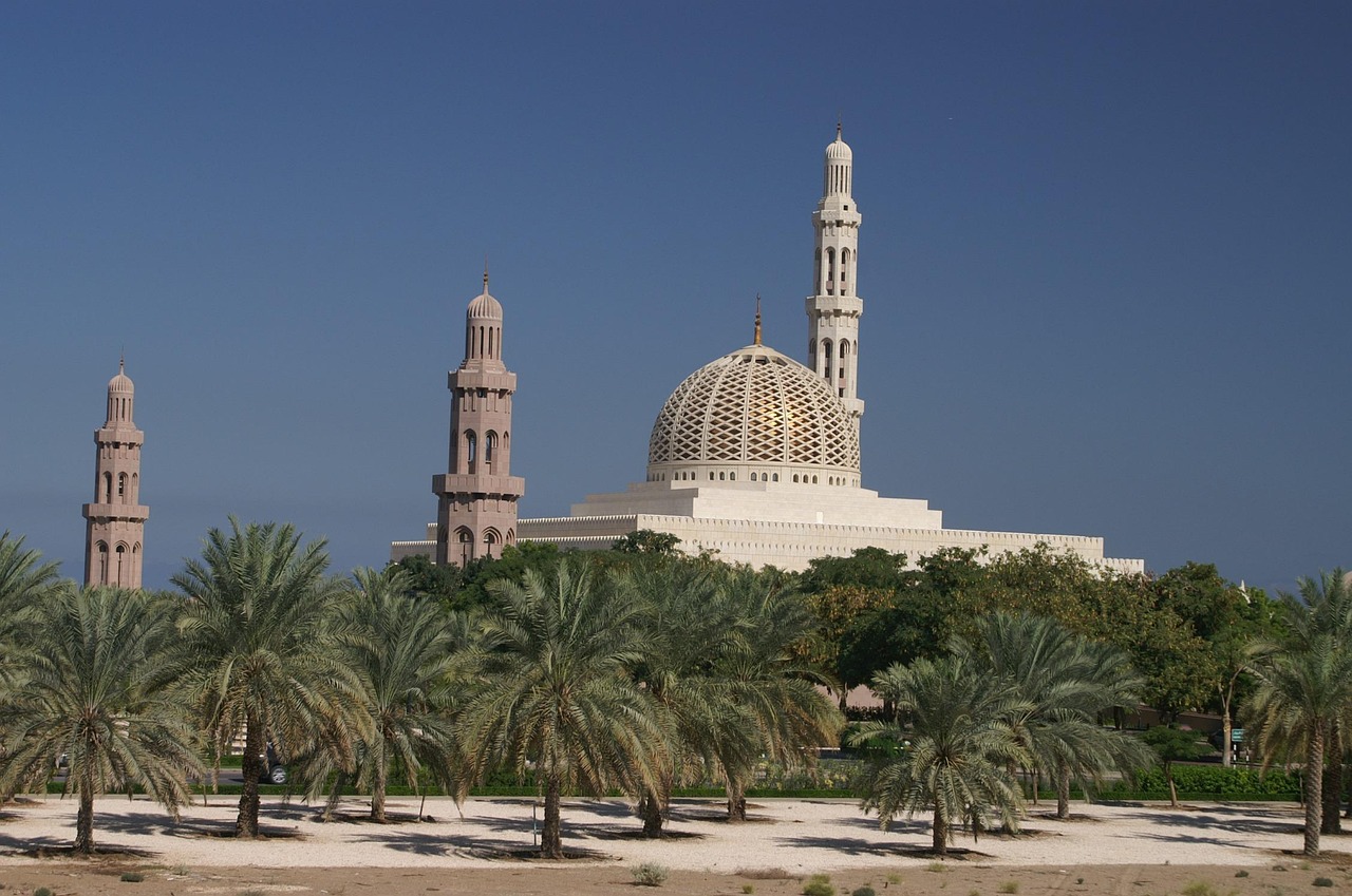 De la baie dorée au nectar sacré : 90 ans d’excellence de l’AOP Muscat