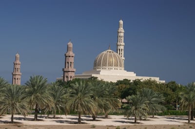 De la baie dorée au nectar sacré : 90 ans d’excellence de l’AOP Muscat