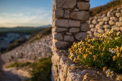 Découvrez la Corse : Le site de référence pour un tourisme inoubliable sur l’île de Beauté