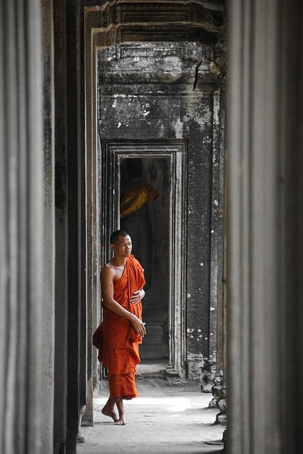 À Phnom Penh, l’ambok se déguste au cœur de la haute gastronomie locale