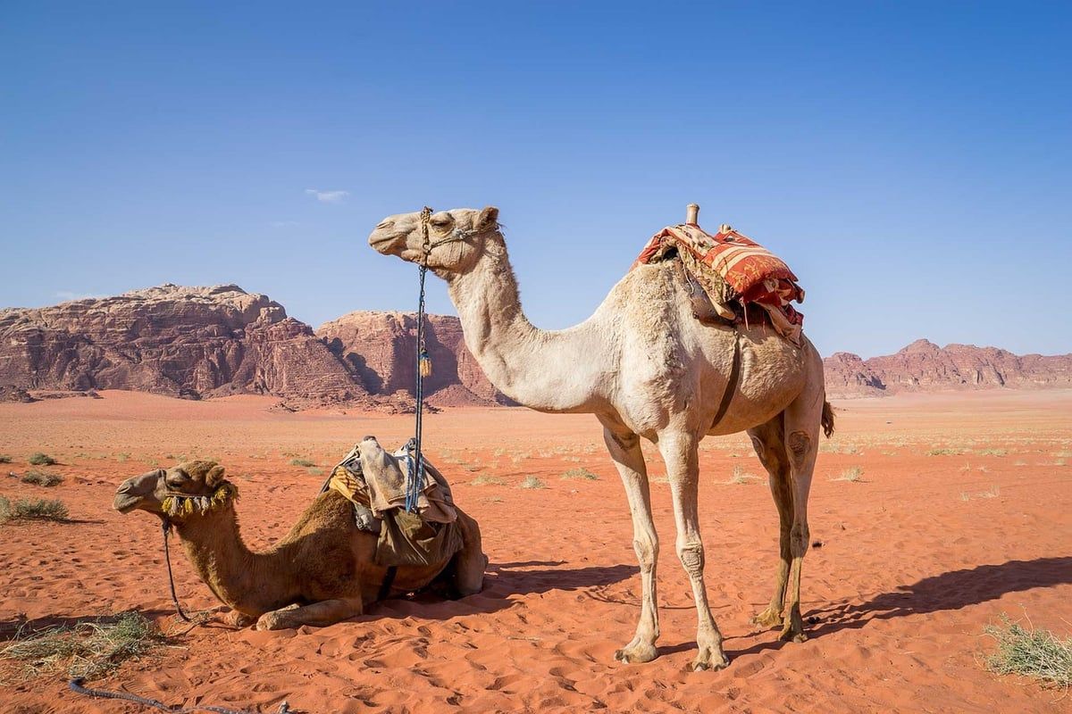 Destinations de voyage : les joyaux cachés de l’Europe à explorer