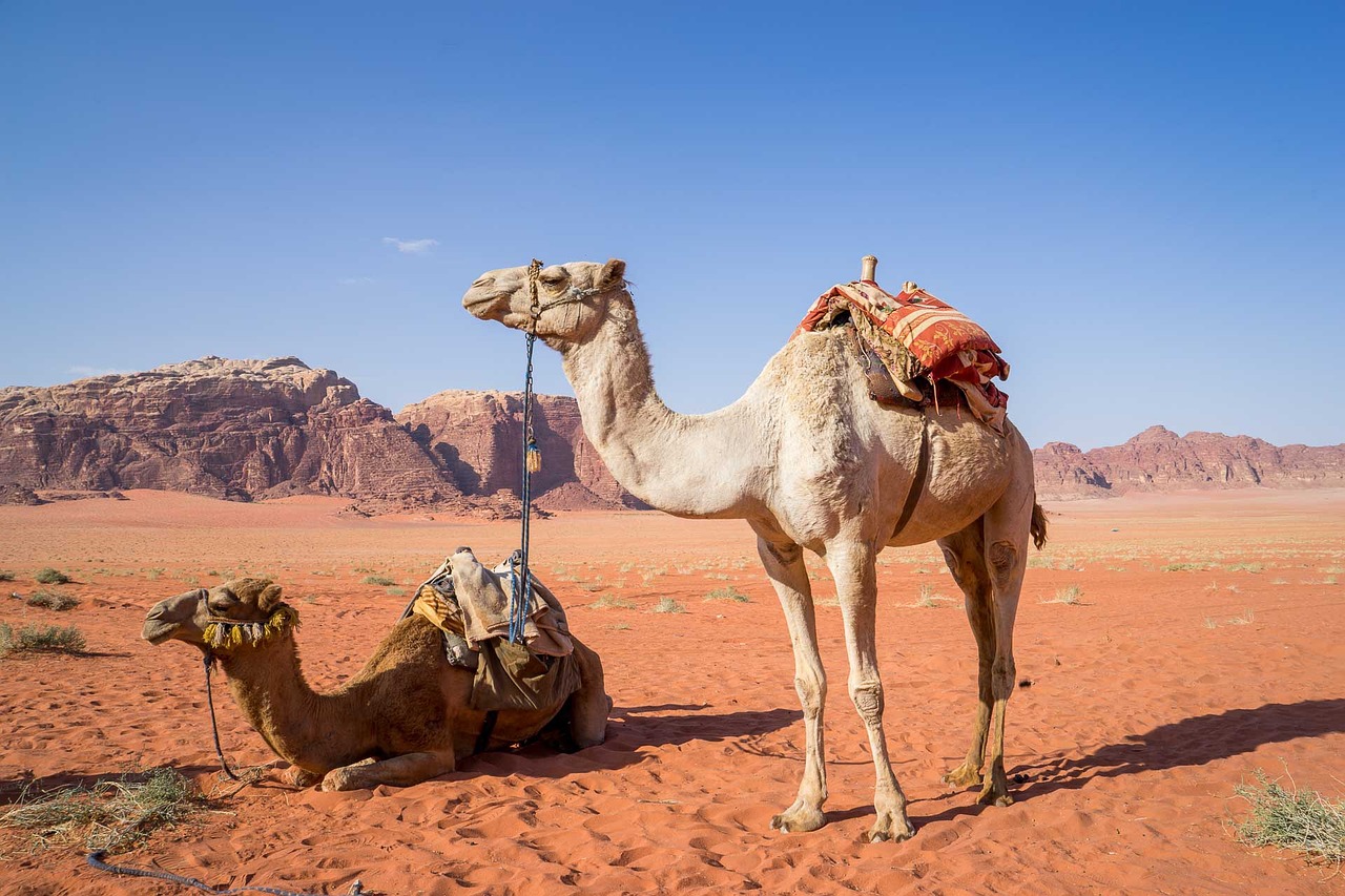 Destinations de voyage : les joyaux cachés de l’Europe à explorer