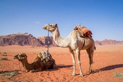 Destinations de voyage : les joyaux cachés de l’Europe à explorer