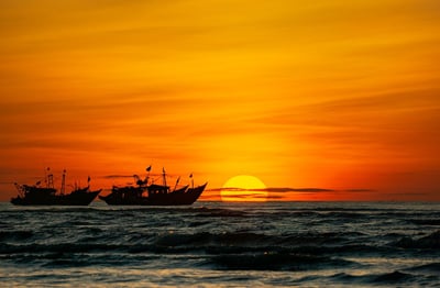 Guide pratique et précautions essentielles pour un voyage réussi au Vietnam