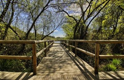 Angola : entre nature sauvage, trésors préservés et accueil chaleureux, le joyau secret du tourisme