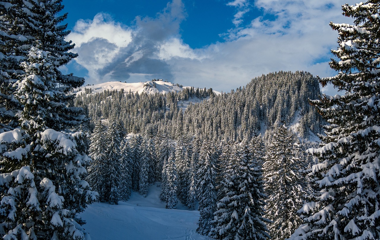 Noël en plein air : vivez une escapade magique avec YOW Tours