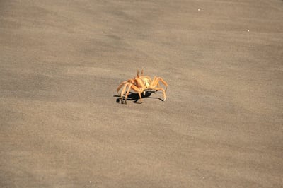 Angola : un trésor touristique authentique et chaleureux à découvrir