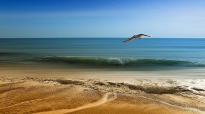 La Californie européenne couronnée : élue meilleure destination balnéaire devant ses rivales
