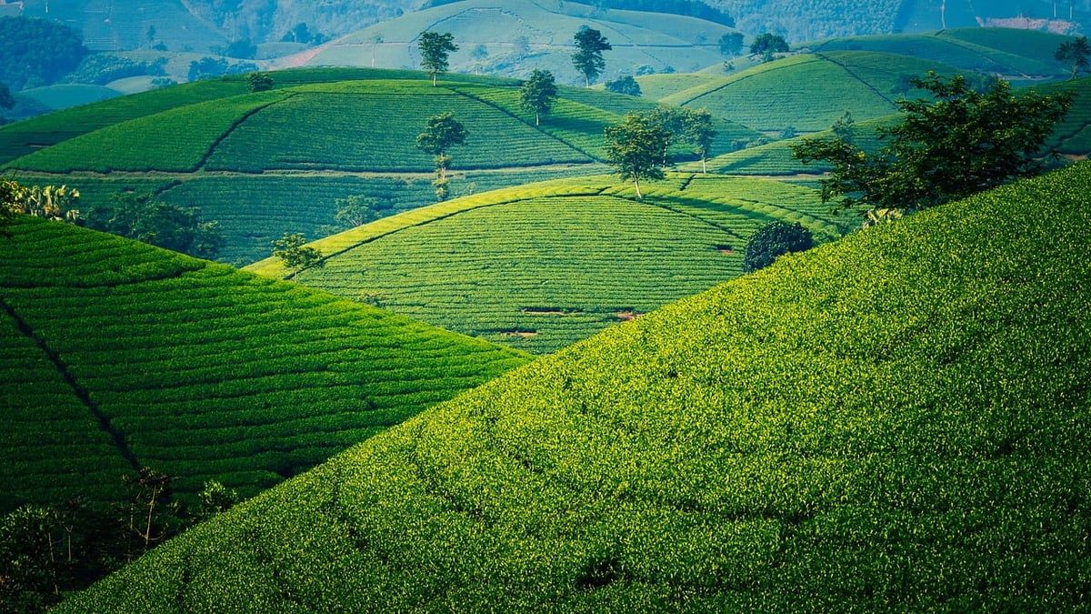 Pourquoi le Vietnam est-il la destination rêvée pour les voyageurs en solo ?