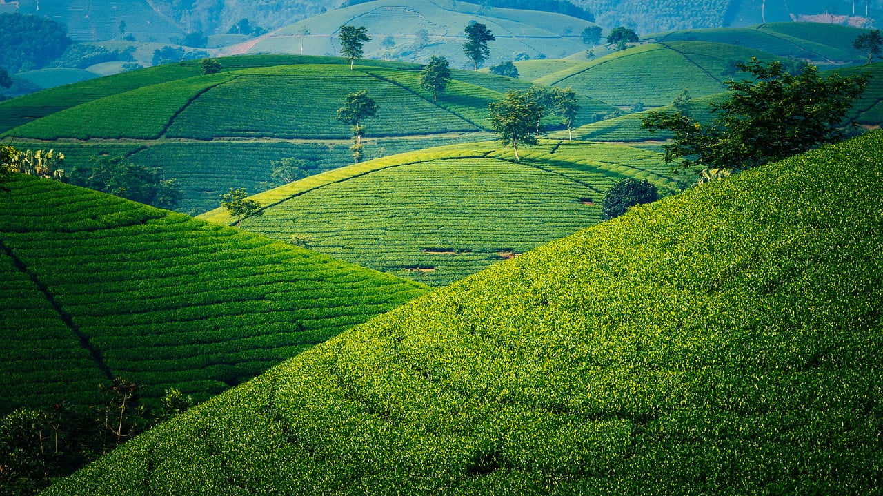 Pourquoi le Vietnam est-il la destination rêvée pour les voyageurs en solo ?