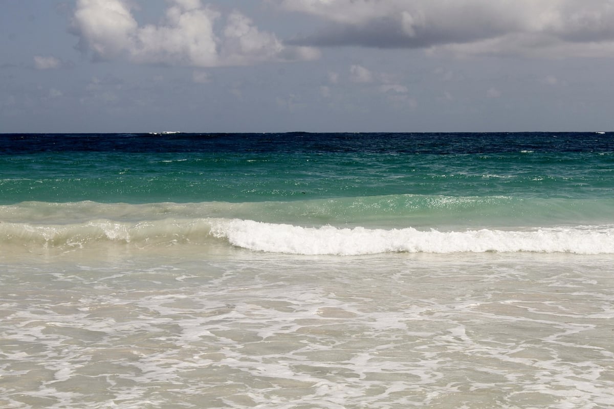 Explorer la Martinique : un voyage entre nature luxuriante, richesses culturelles et délices culinaires des Caraïbes