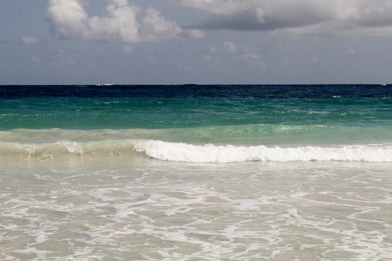 Explorer la Martinique : un voyage entre nature luxuriante, richesses culturelles et délices culinaires des Caraïbes