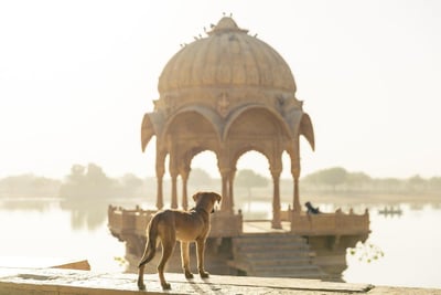 Explorer l’Inde malgré les tensions régionales : comment le tourisme se réinvente et s’adapte