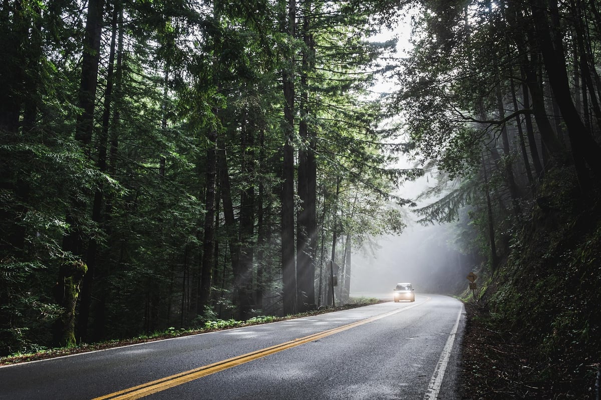 Road trip : conseils essentiels pour réussir votre aventure sur les routes françaises