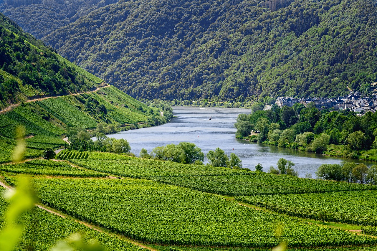Qui sont les acteurs du secteur du tourisme ?
